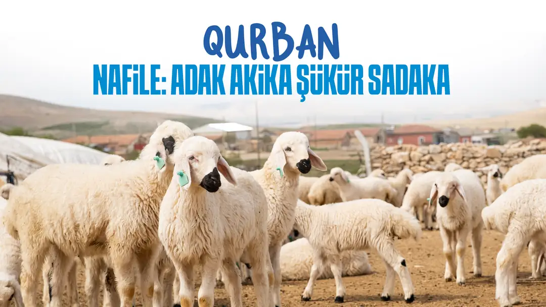 Don de sacrifice (Qurban, Adak, Akika, Choukr et Nafila)