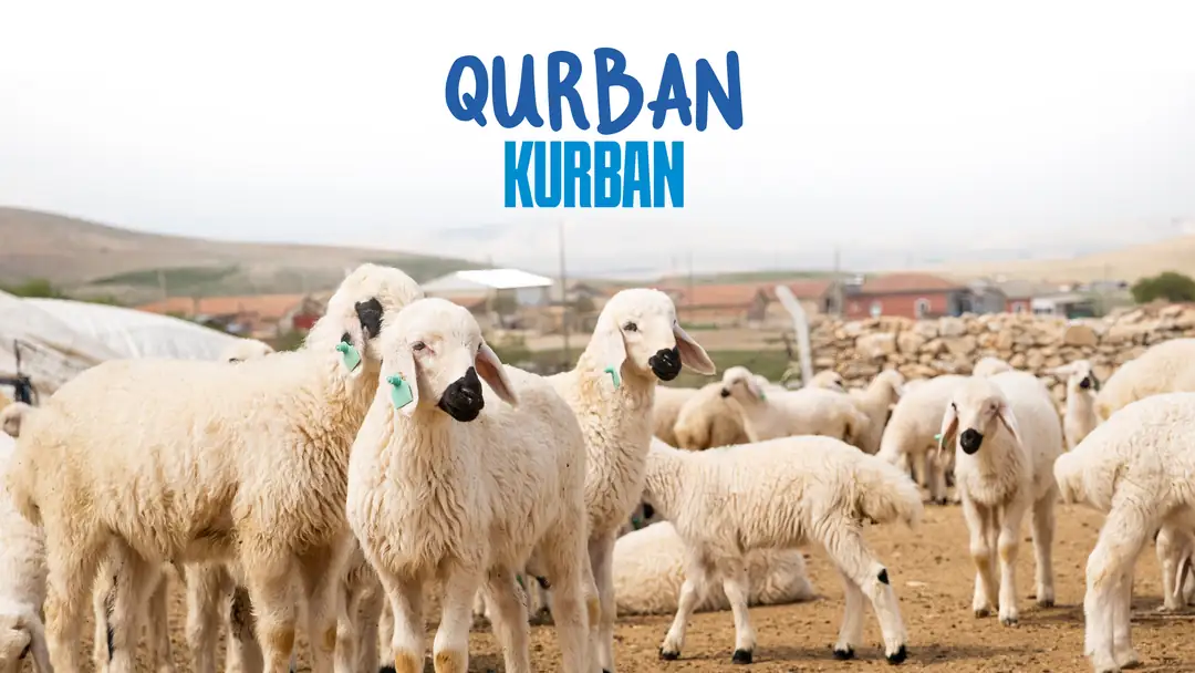 Don de sacrifice (Qurban, Adak, Akika, Choukr et Nafila)