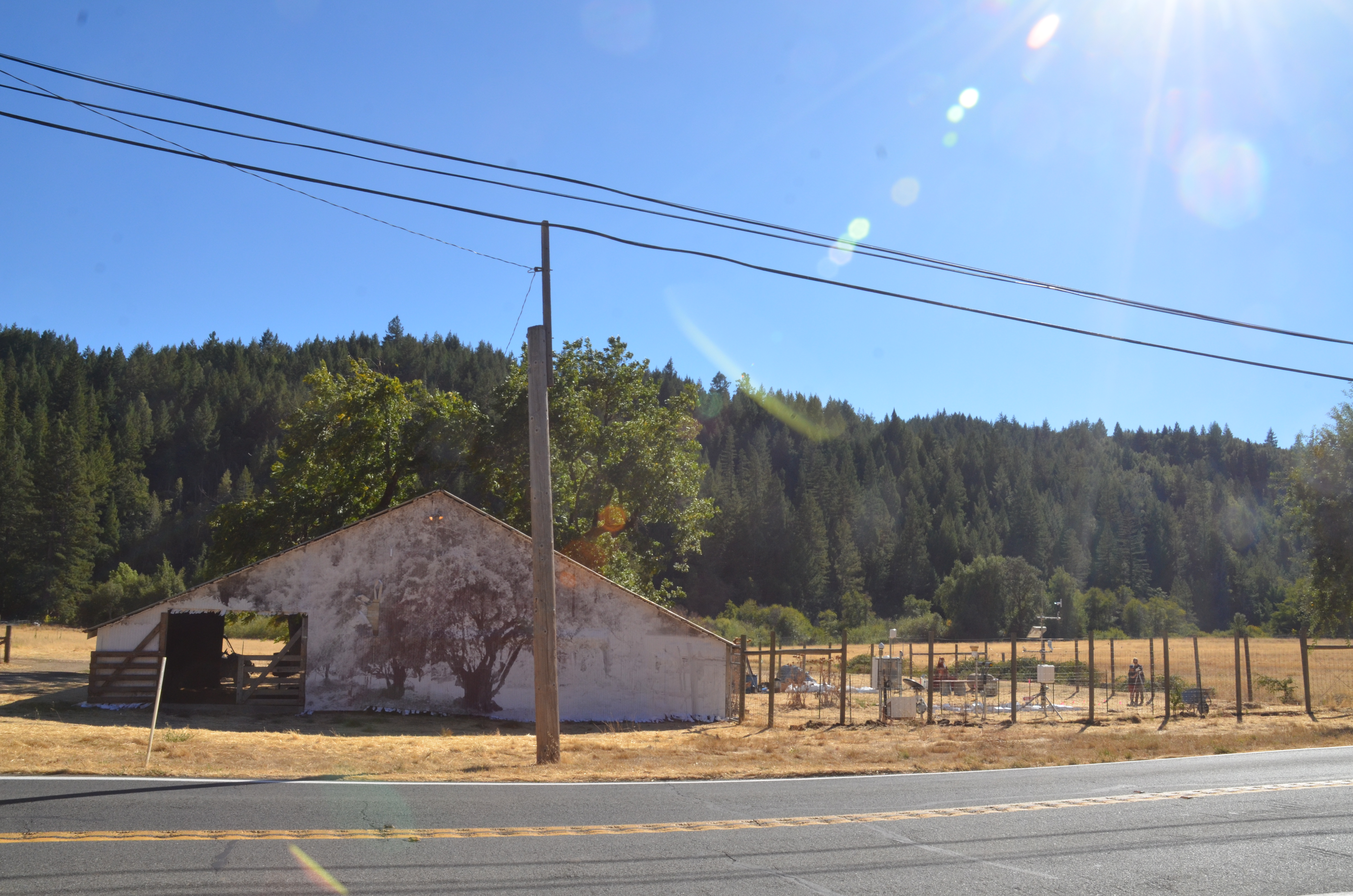 Art installation from Dive Barn 2024