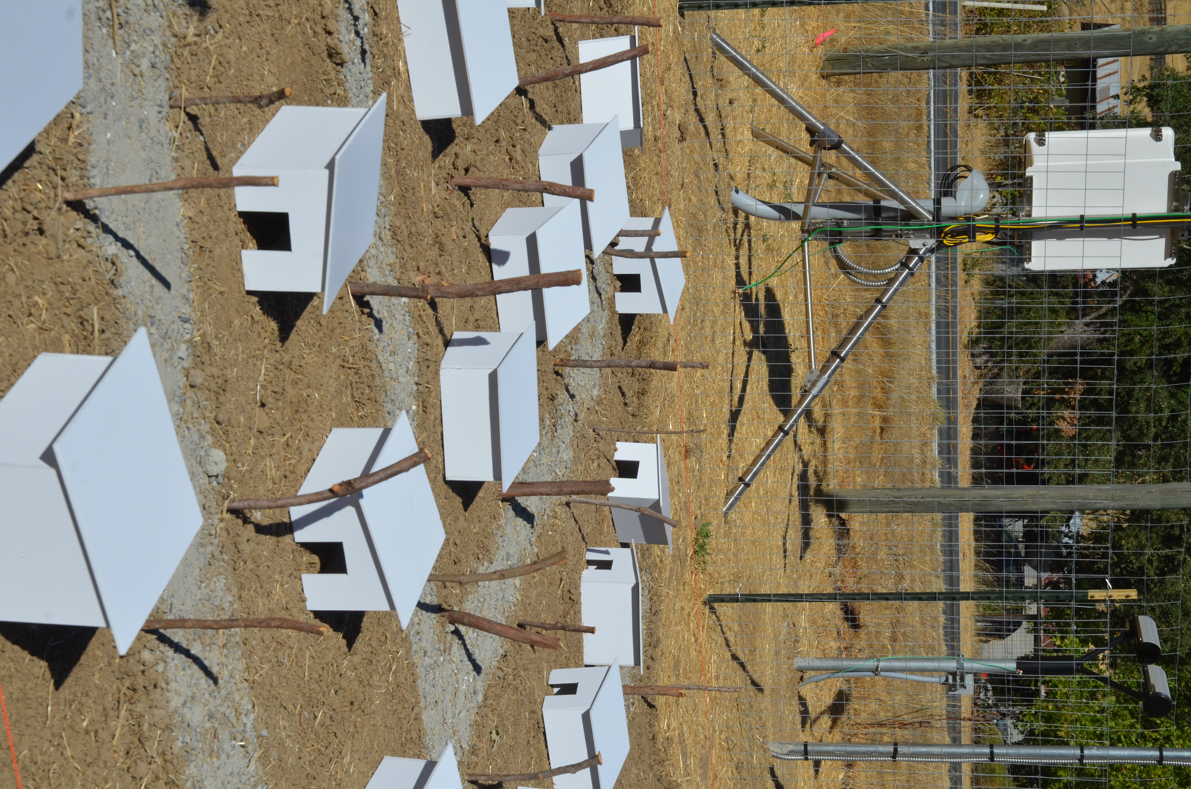 Art installation from Dive Barn 2024