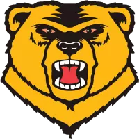 Western New England University logo