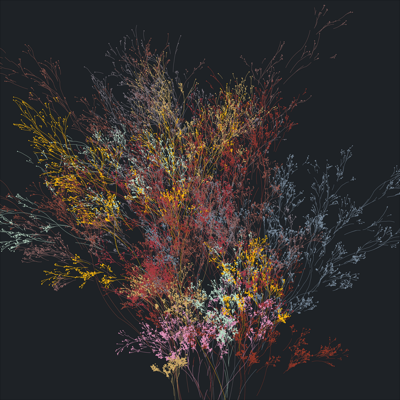 Multicoloured branching structures with dots at the end, resembling a bunch of flowers