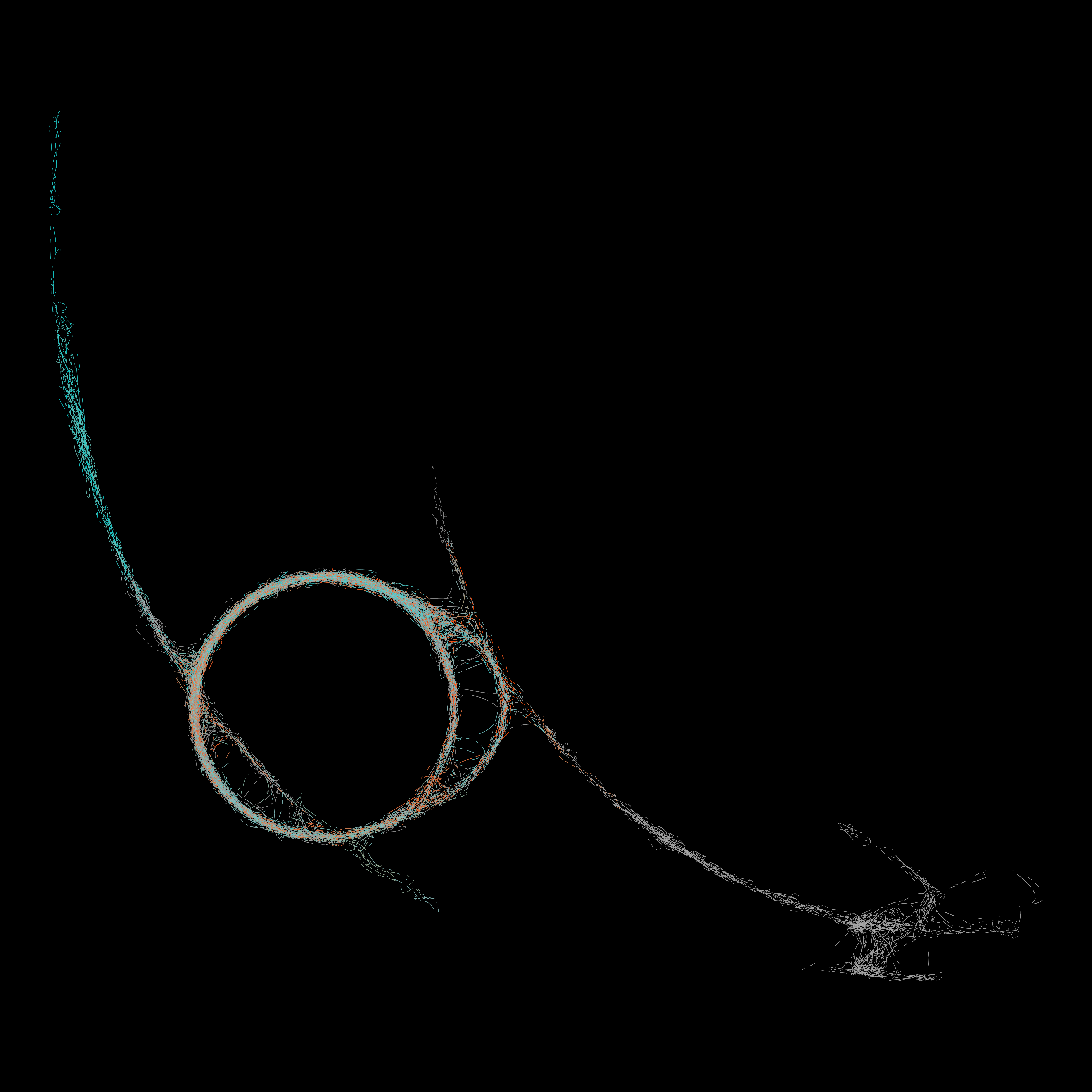 Tangle 15-d