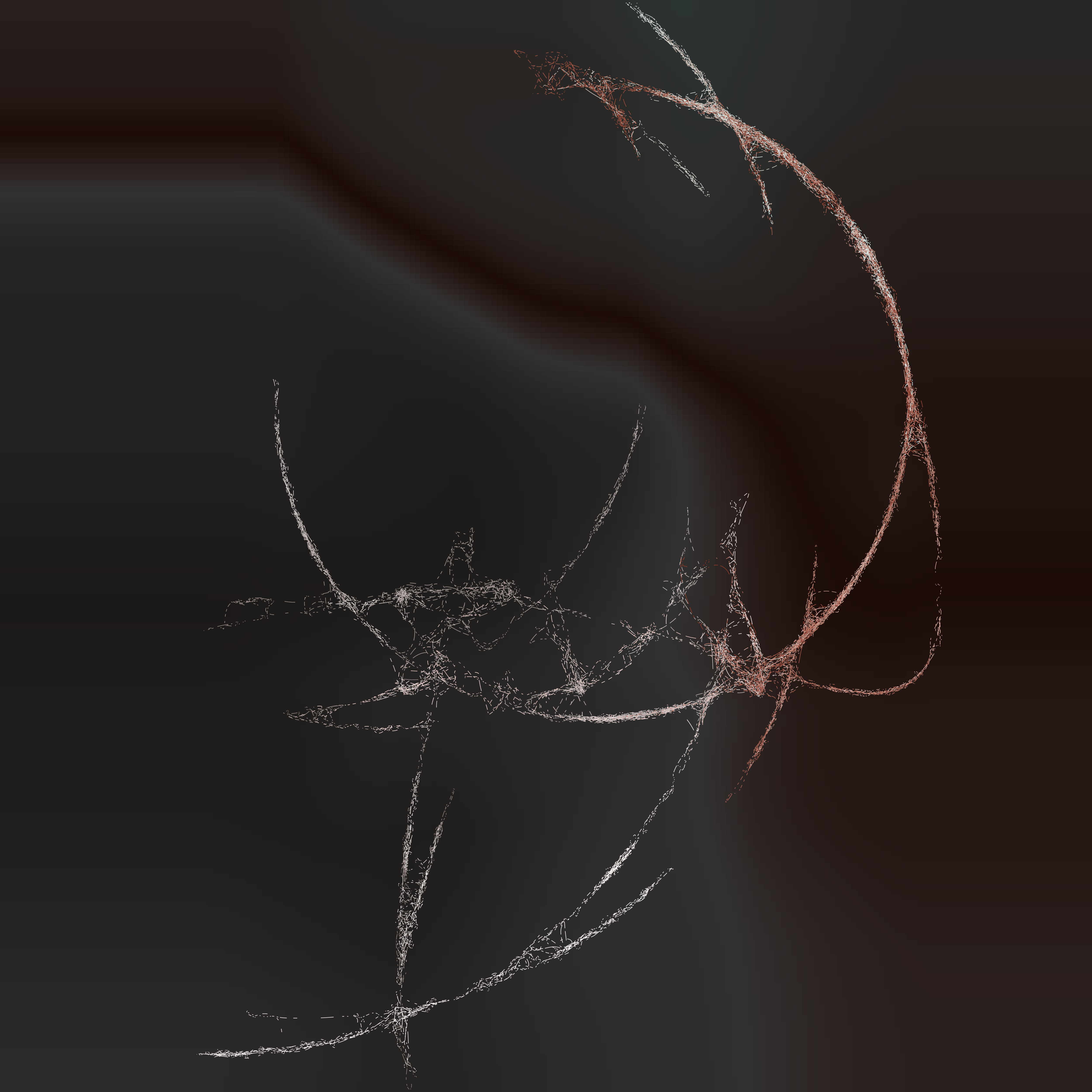 Tangle 17-15-113