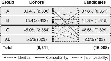 FIGURE 89-1, ABO blood group distributions among candidates awaiting a liver transplant.