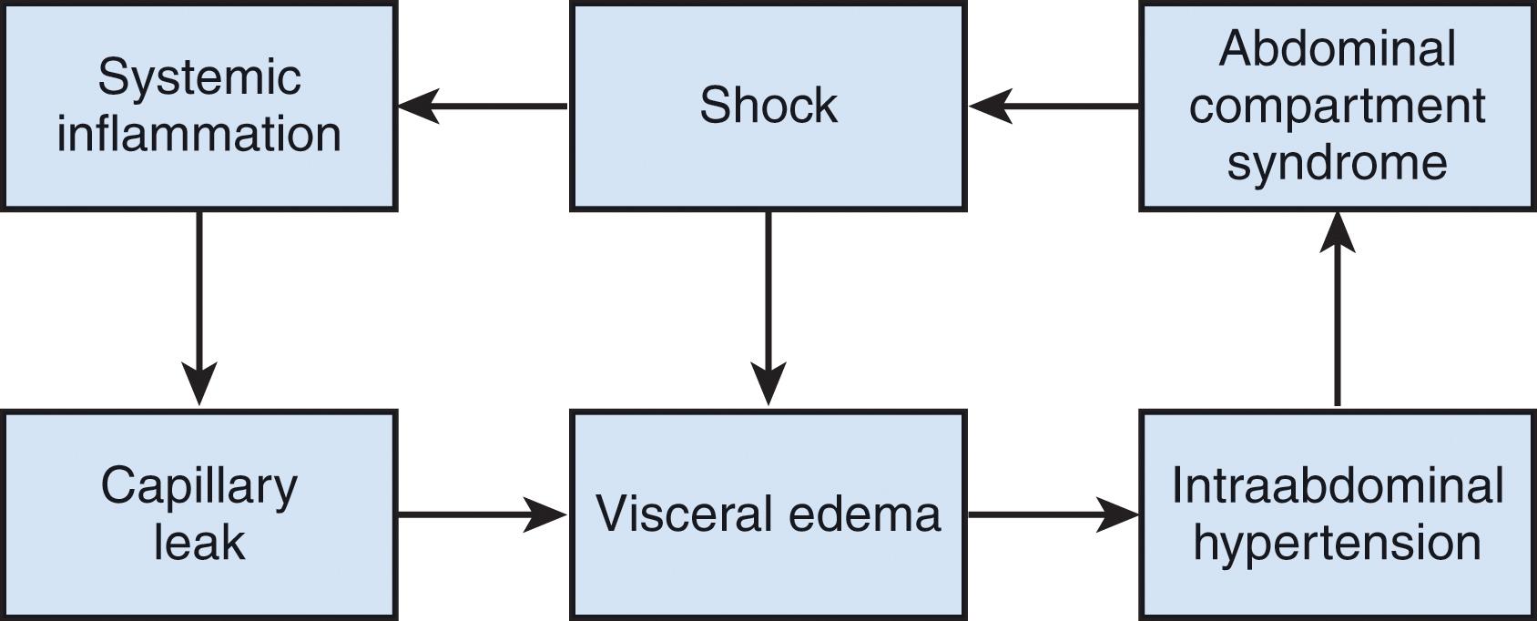 FIGURE 3, A cycle of ischemia producing intraabdominal hypertension and the abdominal compartment syndrome.