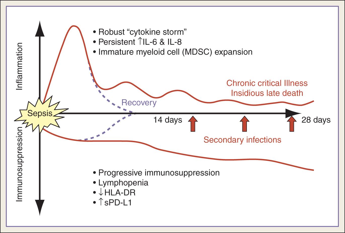 Fig. 90.1, Intraabdominal sepsis is driven by a dysfunctional host innate immune response to infection, with an early “cytokine storm” causing shock and organ dysfunction. Persistent inflammation and progressive immunosuppression lead to immune incompetence and recurrent infections.