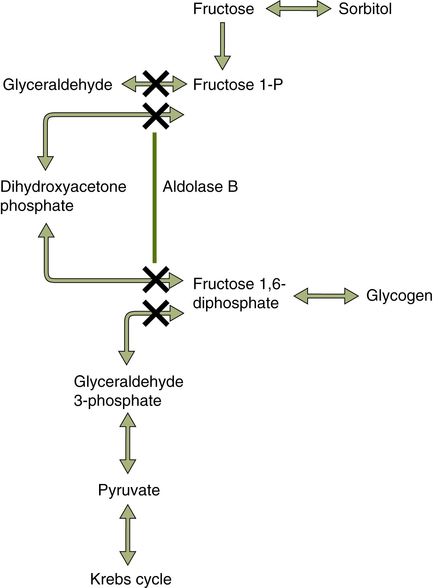 Fig.73.2, Fructose Metabolism.