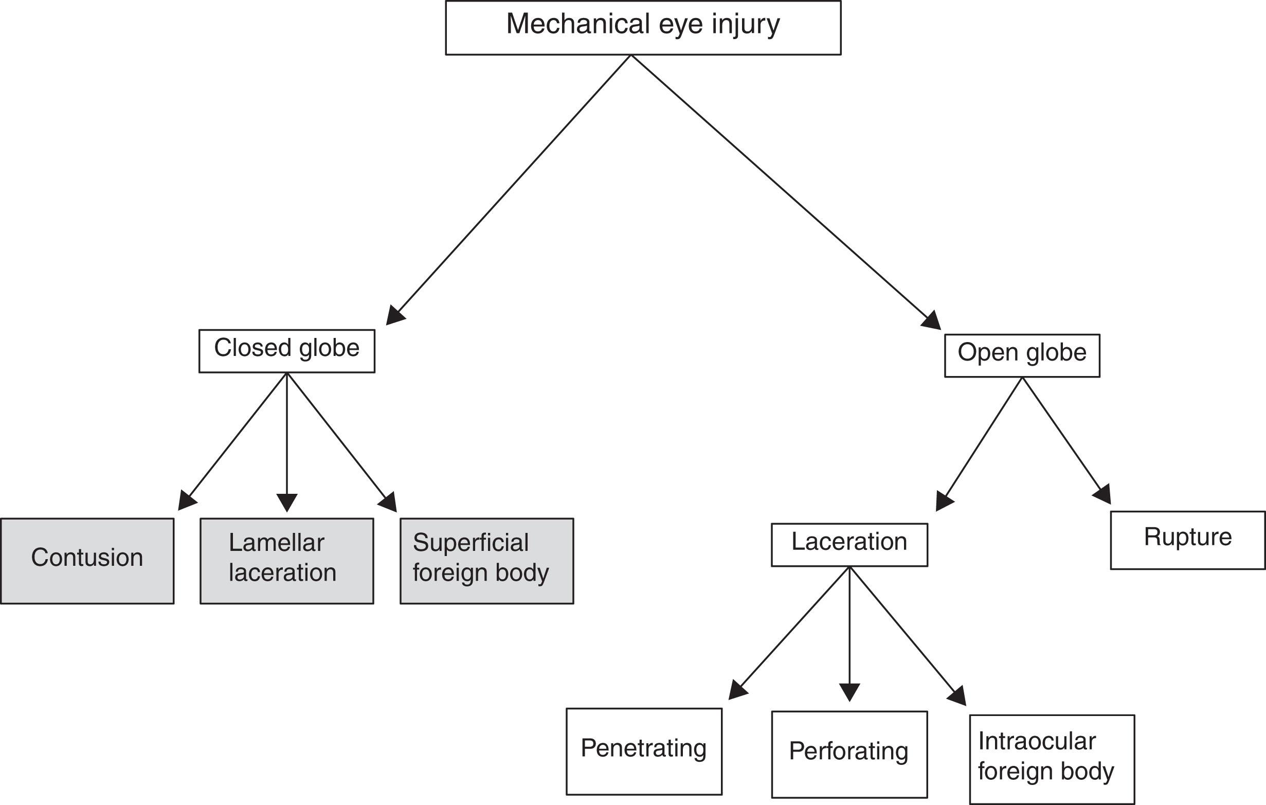 Fig. 70.1, Eye trauma terminology using the globe as a reference point. For closed-globe injury, contusion implies a blunt force injury to the ocular structures. Lamellar lacerations are partial-thickness wounds to the external eye structures that are usually caused by sharper objects, and a superficial foreign body lodges itself on the external eye structures. For open-globe injuries, a penetrating injury has one entry and exit wound, typically caused by a sharp object. A perforating injury has an entry and exit wound, while an intraocular foreign body mechanism occurs when an object enters and remains within the eye.