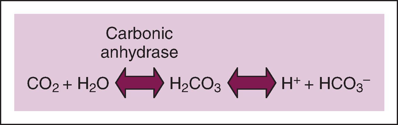 Fig. 22.2, Hydration of carbon dioxide results in carbonic acid, which dissociates into bicarbonate and hydrogen ions.