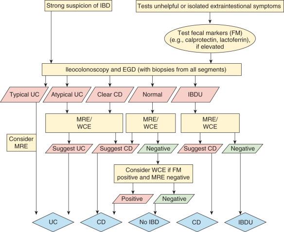 Figure 104.7, Evaluation of child/adolescent with intestinal or extraintestinal symptoms suggestive of IBD.