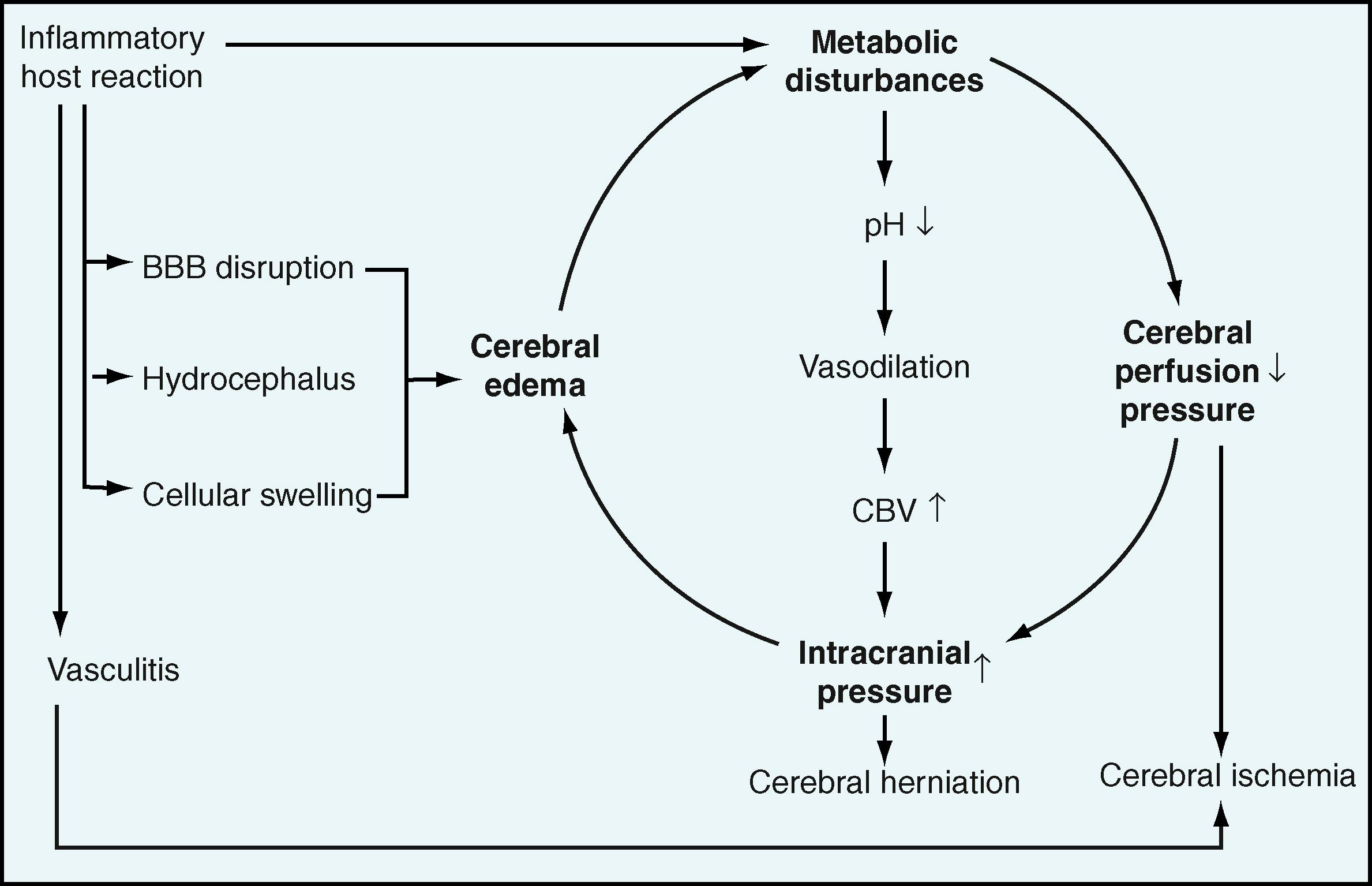 Figure 40.5, Vicious cycle of pathophysiologic alterations leading to neuronal injury during bacterial meningitis. BBB, blood-brain barrier; CBV, cerebral blood volume.
