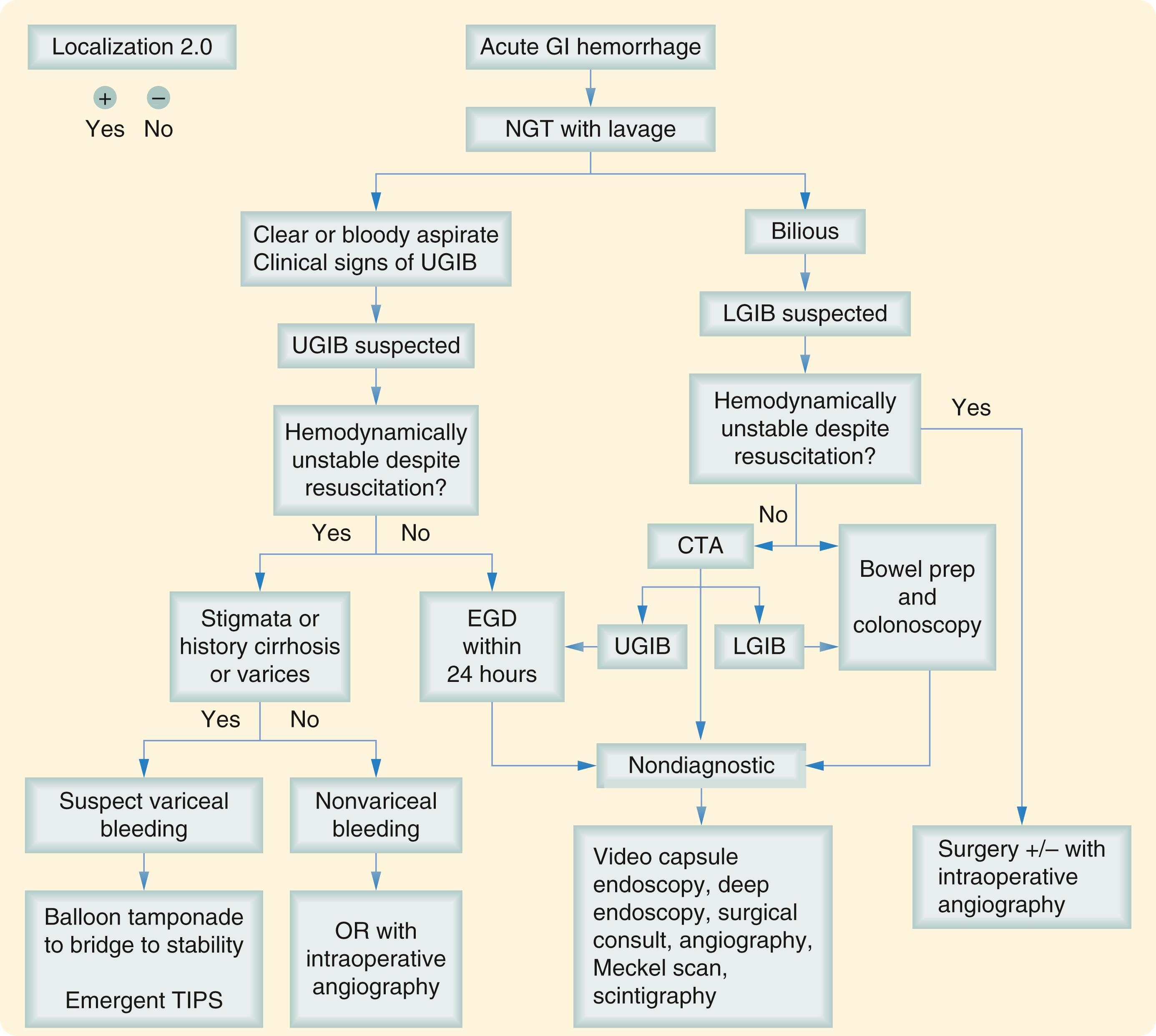 Fig. 47.1, Algorithm for the diagnosis of acute GI hemorrhage. CTA , Computed tomography angiogram; EGD , esophagogastroduodenoscopy; GI , gastrointestinal; LGIB , lower GI bleed; NGT , nasogastric tube; TIPS , transjugular intrahepatic portosystemic shunt; UGIB , upper GI bleed.