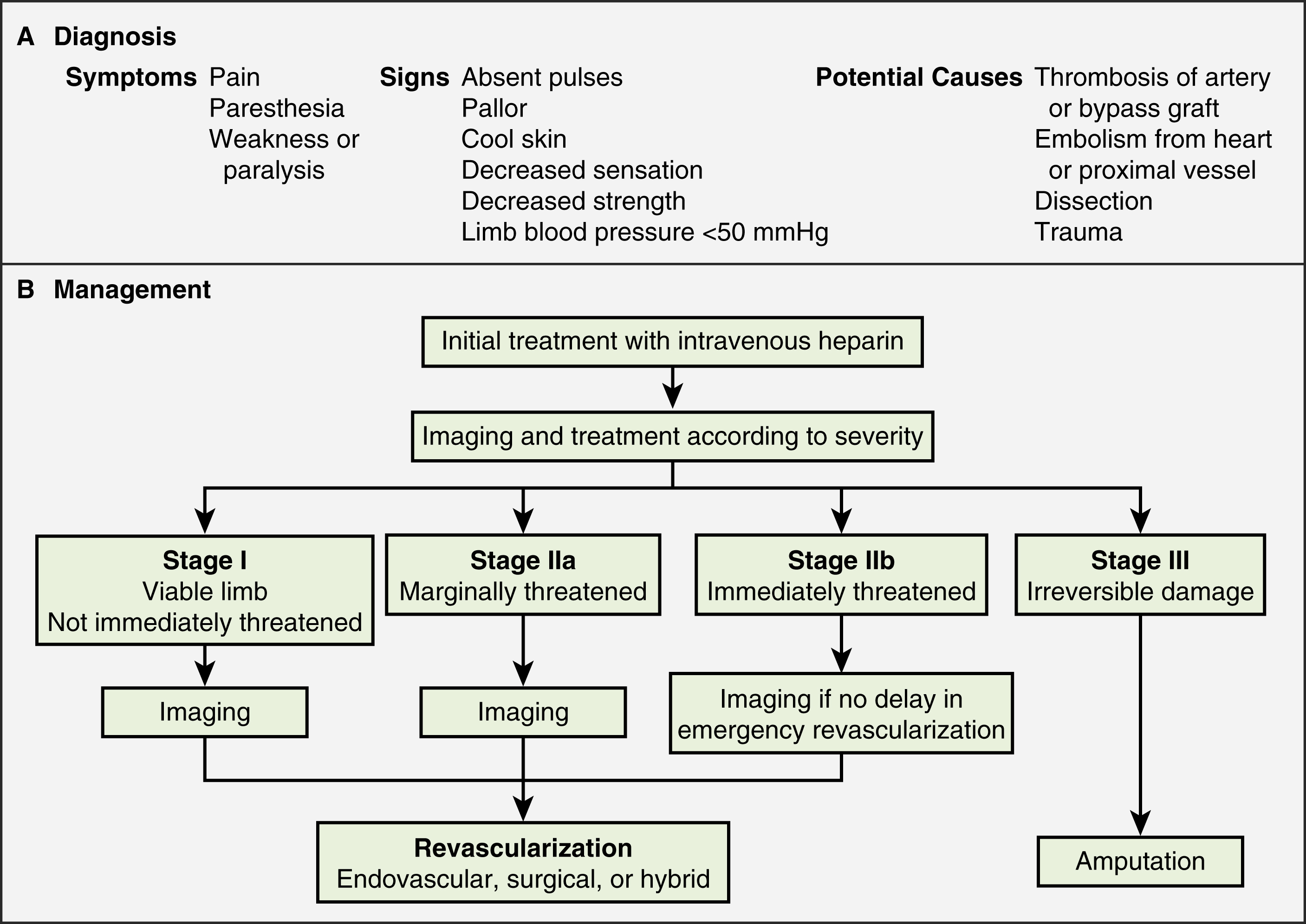 Fig. 11.1, Clinical algorithm for management of acute lower extremity ischemia.