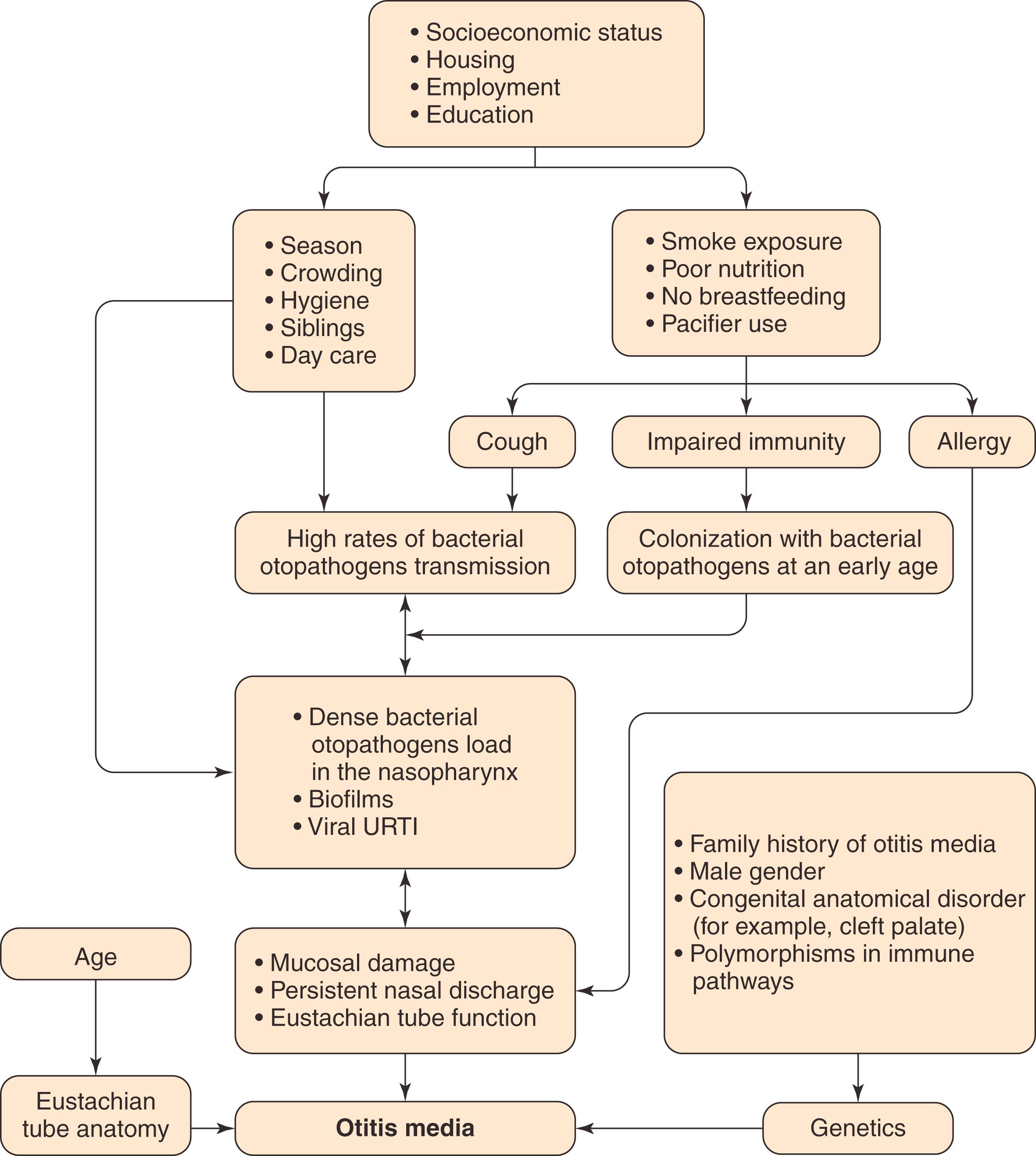 Fig. 15.4, Pathogenesis pathways of otitis media. URTI, Upper respiratory tract infection.