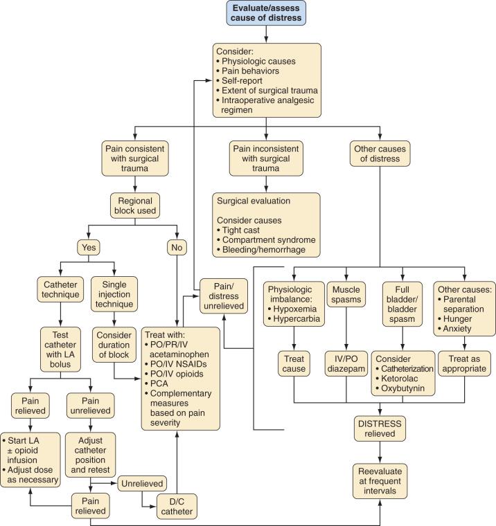 FIGURE 44.5, Flowchart for assessment and management of acute postoperative pain in a child. D/C , discontinue; IV , intravenous; LA, local anesthetic; NSAIDs , nonsteroidal antiinflammatory drugs; PCA , patient-controlled analgesia; PO , orally; PR , per rectum.