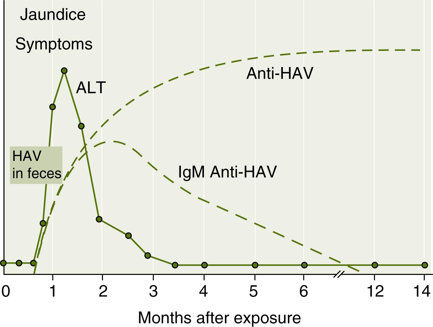 Fig. 75.1, Typical Clinical and Serologic Course of Symptomatic Hepatitis A.