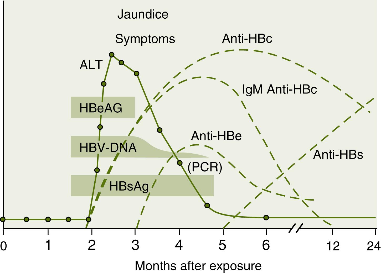 Fig. 75.3, Typical Clinical and Serologic Course of Symptomatic Acute Hepatitis B.