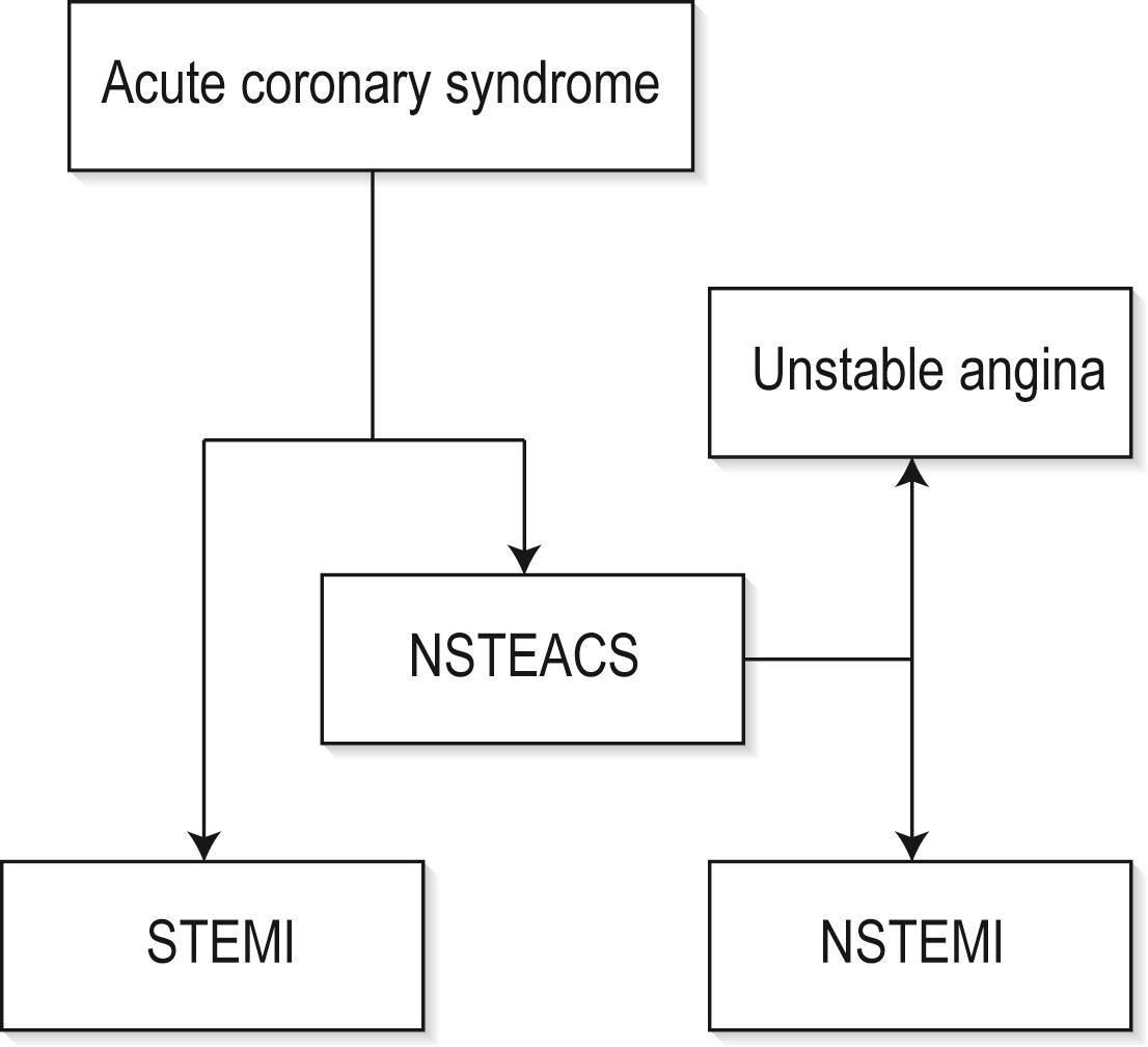 Fig. 5.2.1, Acute coronary syndrome. NSTEACS, non–ST-elevation acute coronary syndrome; NSTEMI, non–ST-elevation myocardial infarction; STEMI, ST-elevation myocardial infarction.