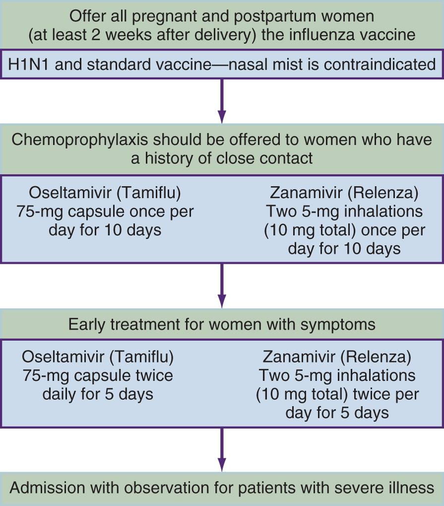 Fig. 133.2, Treatment during pregnancy.