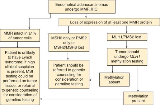 Fig. 19.1, Schematic of management for mismatch repair (MMR) defects and suspected Lynch syndrome. IHC, Immunohistochemistry; MSI, microsatellite instability.