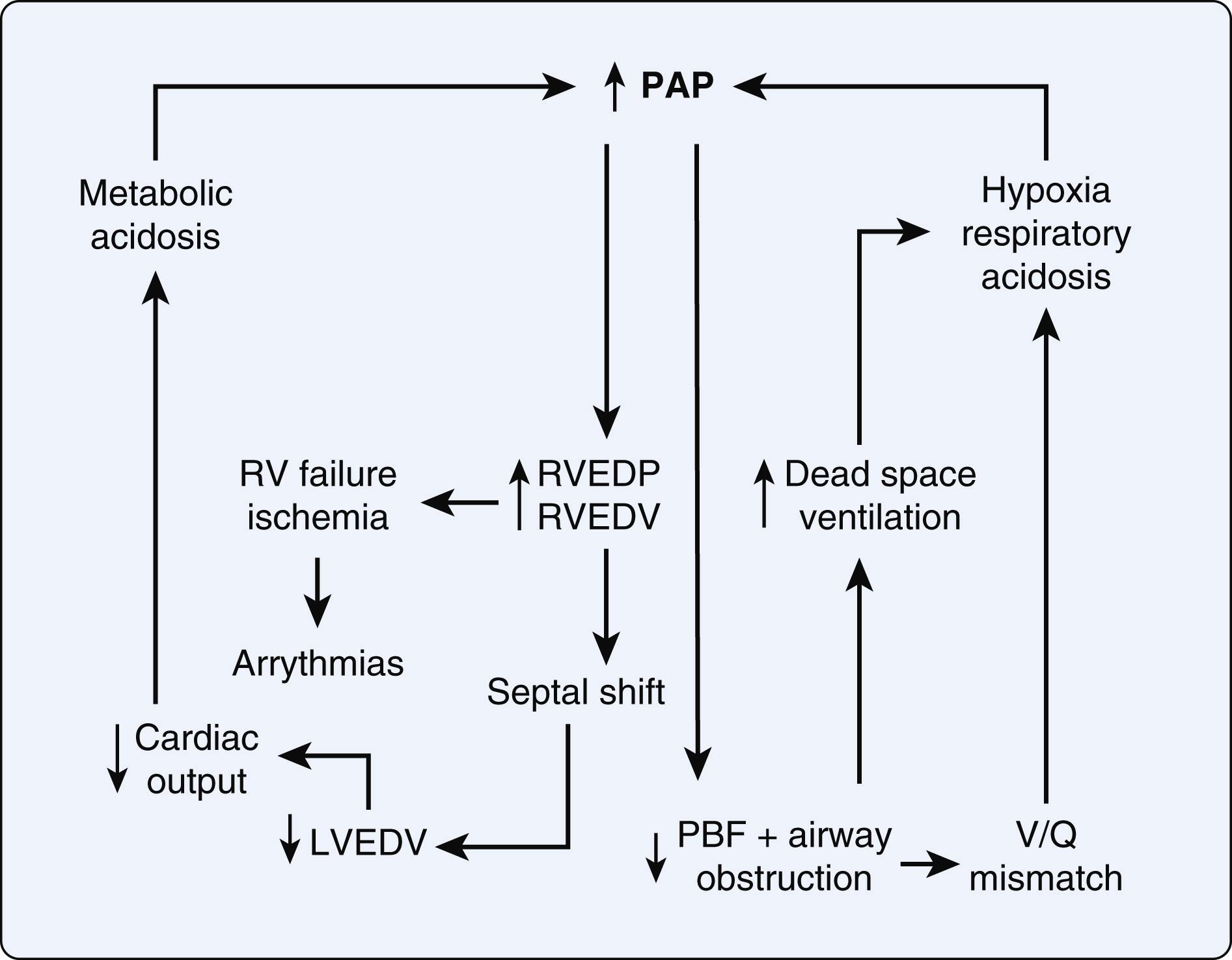Figure 16.3, Depiction of cycle of events associated with pulmonary gas exchange abnormalities and cardiovascular collapse during a pulmonary hypertensive crisis. Not shown here is the reduction in systemic blood pressure that exacerbates RV ischemia. LVEDV , Left ventricular end-diastolic volume; PAP , pulmonary artery pressure.; PBF , pulmonary blood flow; RV , right ventricle; RVEDP , right ventricular end-diastolic pressure; RVEDV , right ventricular end-diastolic volume; V/Q , Ventilation/perfusion.