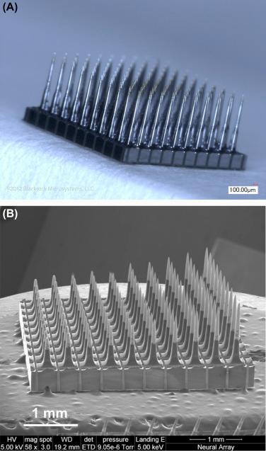 Figure 29.1, The Utah array.