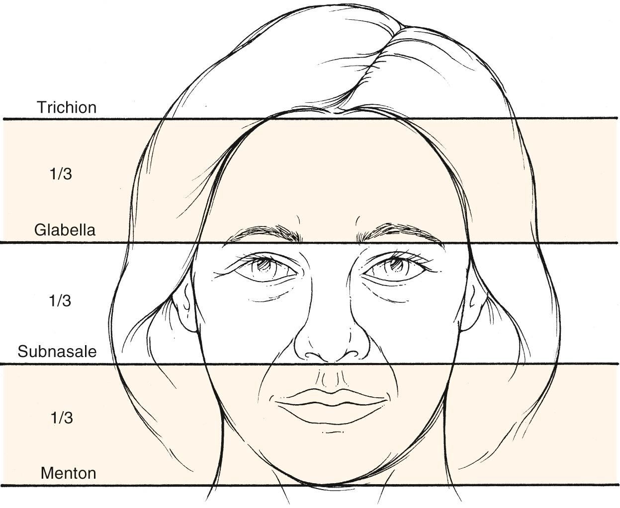 Fig. 16.8, Facial height. The facial height is divided into equal thirds.