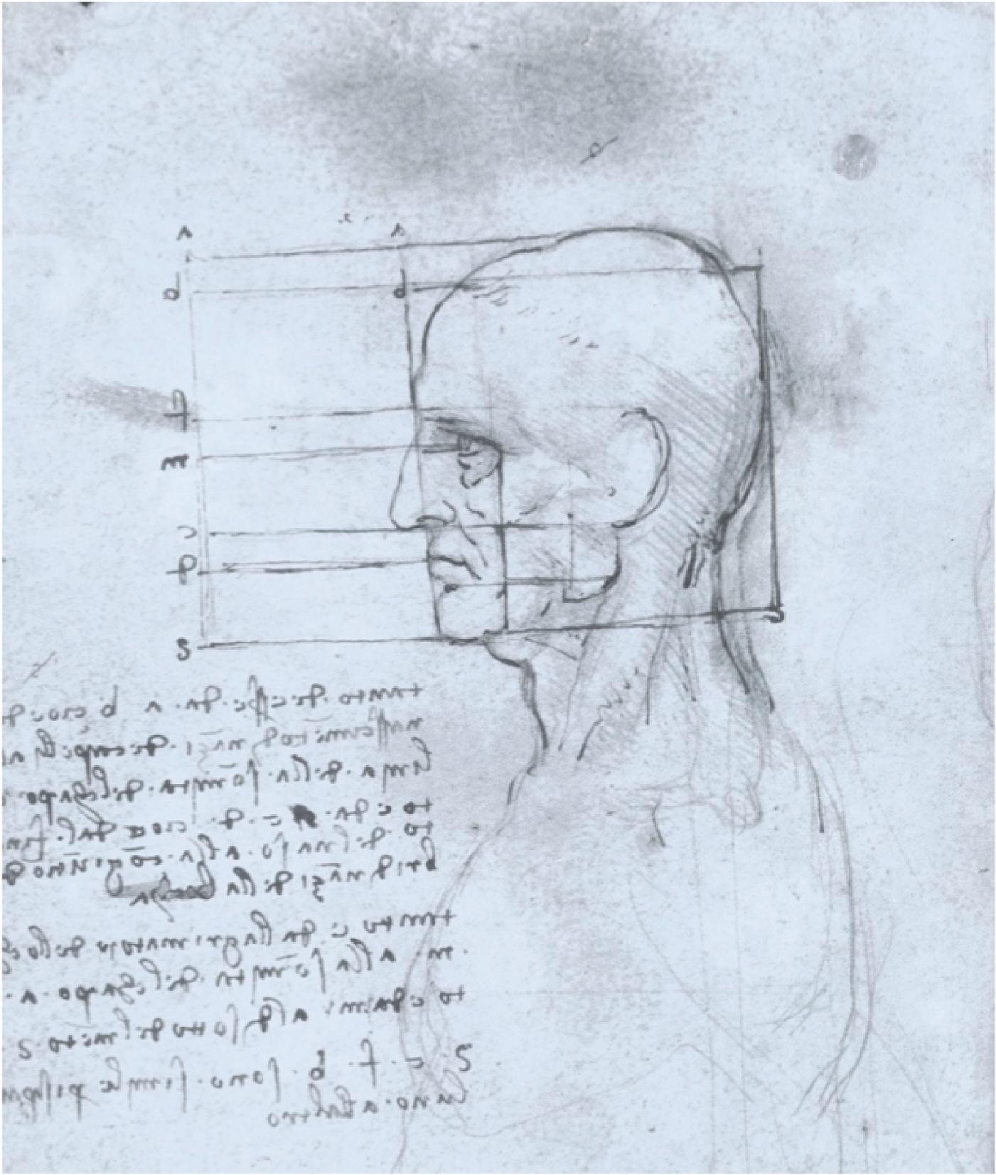 Fig. 1.1, Head of an Old Man by Leonard da Vinci, confirming the golden ratio.