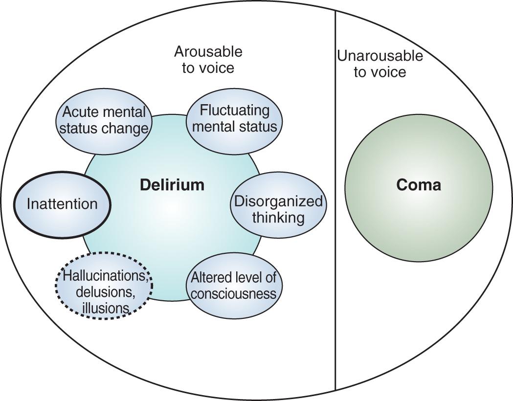 Fig. 2.1, Acute Brain Dysfunction.