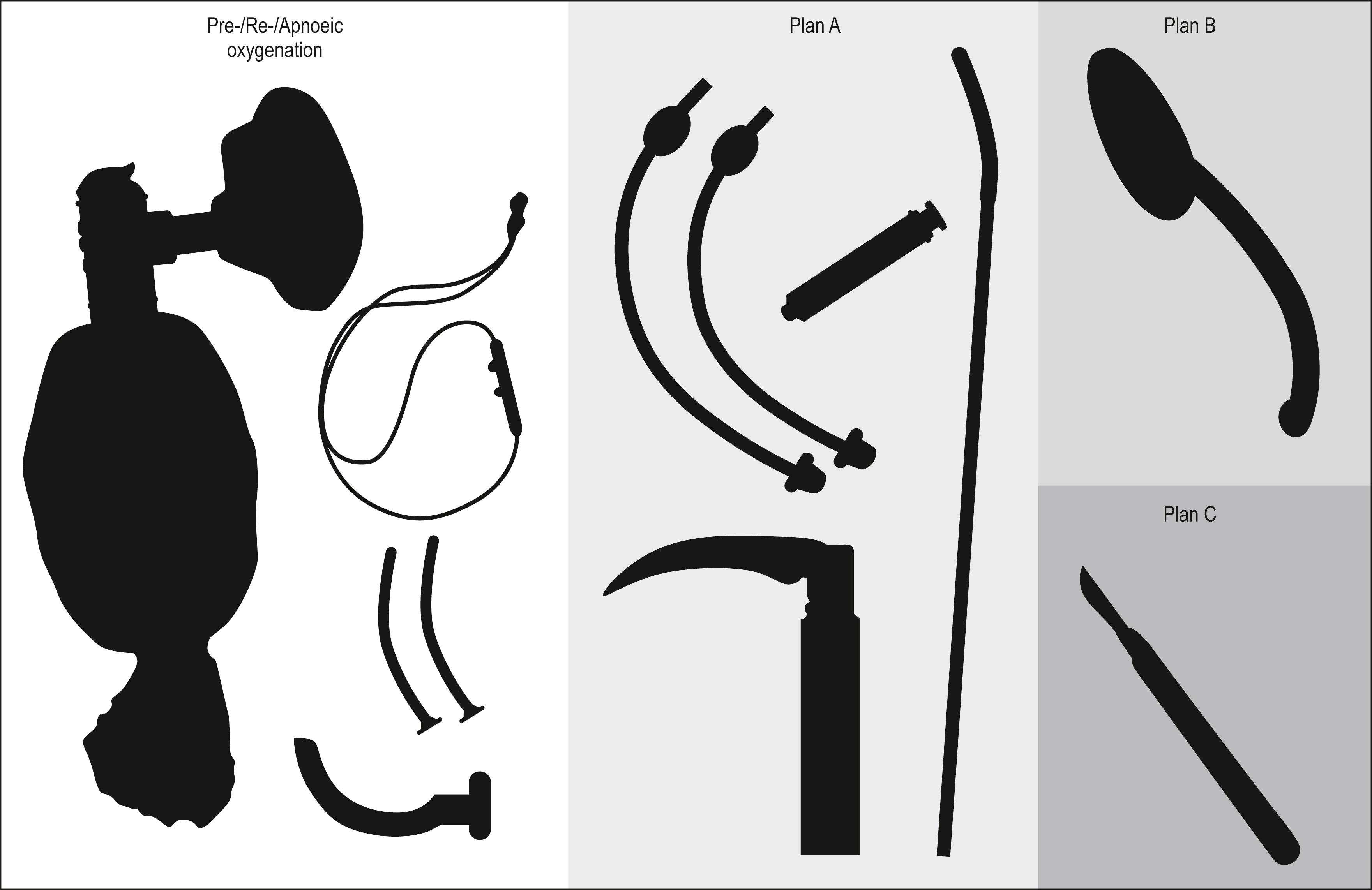 Fig. 2.1.4, Emergency department Rapid Sequence Intubation kit dump.