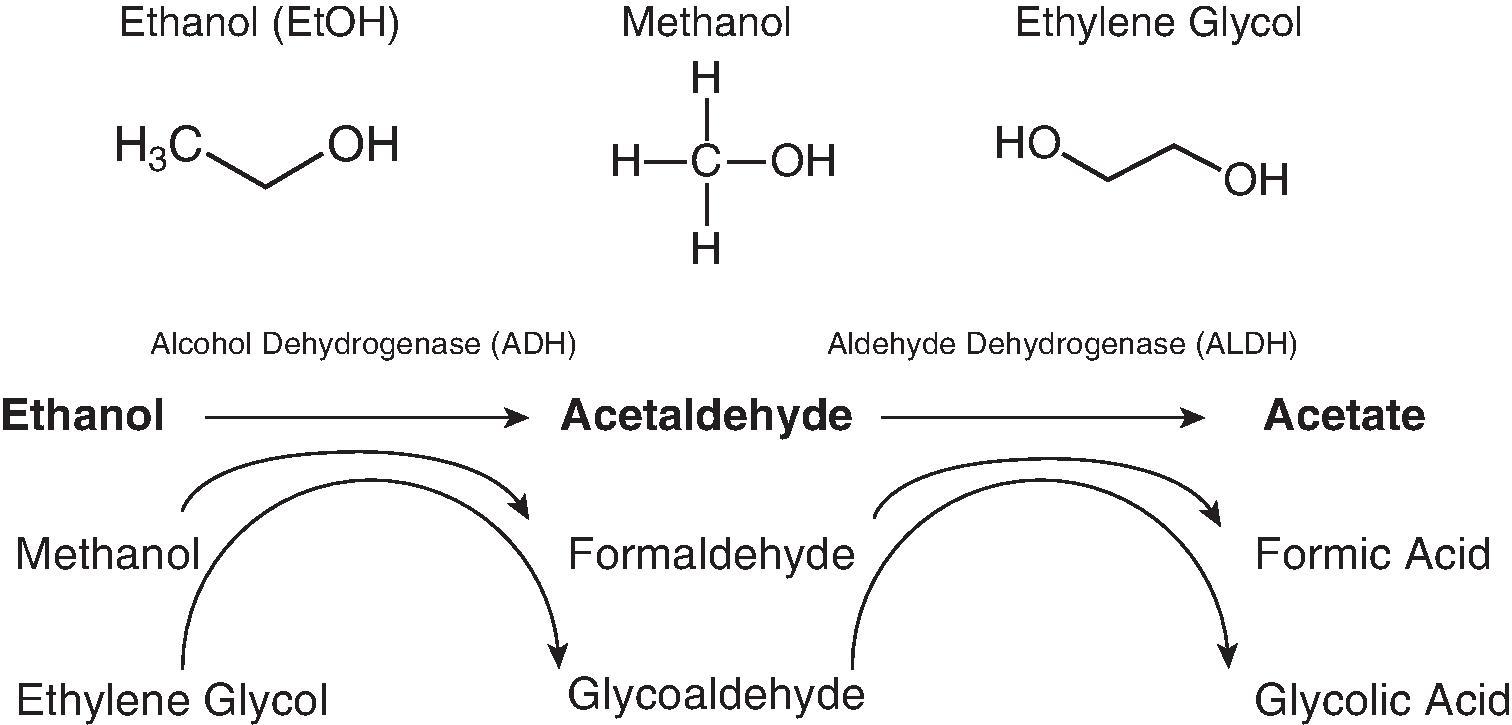 Fig. 4.1, Chemical structure and metabolism of alcohols.