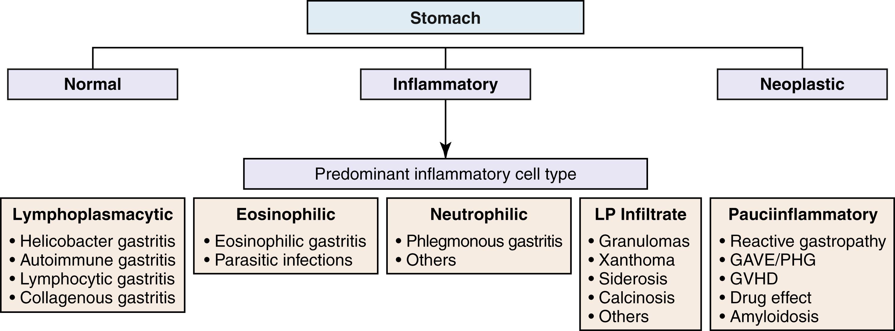 FIGURE 13.9, Algorithmic approach to diagnosis of inflammatory disorders of the stomach.