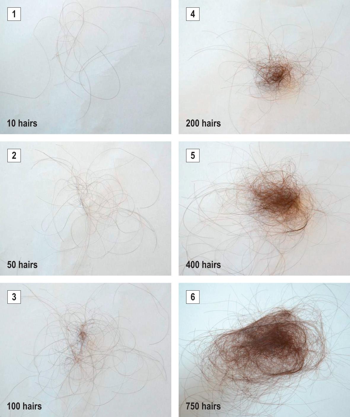 Fig. 69.13, Visual shedding scale.