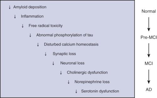 Figure 52-3, The cascade of mechanisms in Alzheimer disease (AD). Shown is the hypothetical cascade of processes occurring as Alzheimer disease progresses. The specific abnormalities are well established, but their order with regard to causality remains controversial. MCI, Mild cognitive impairment.