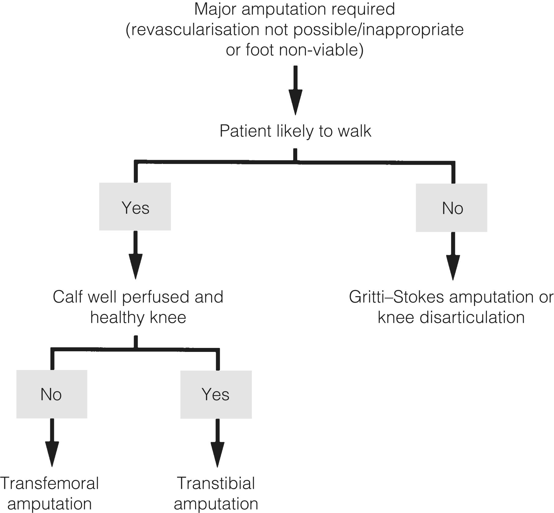 Figure 6.3, Algorithm for major amputation level selection.