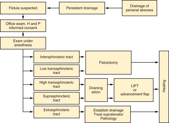 FIGURE 5-1, General management algorithm. LIFT, Ligation of the intersphincteric fistula tract.