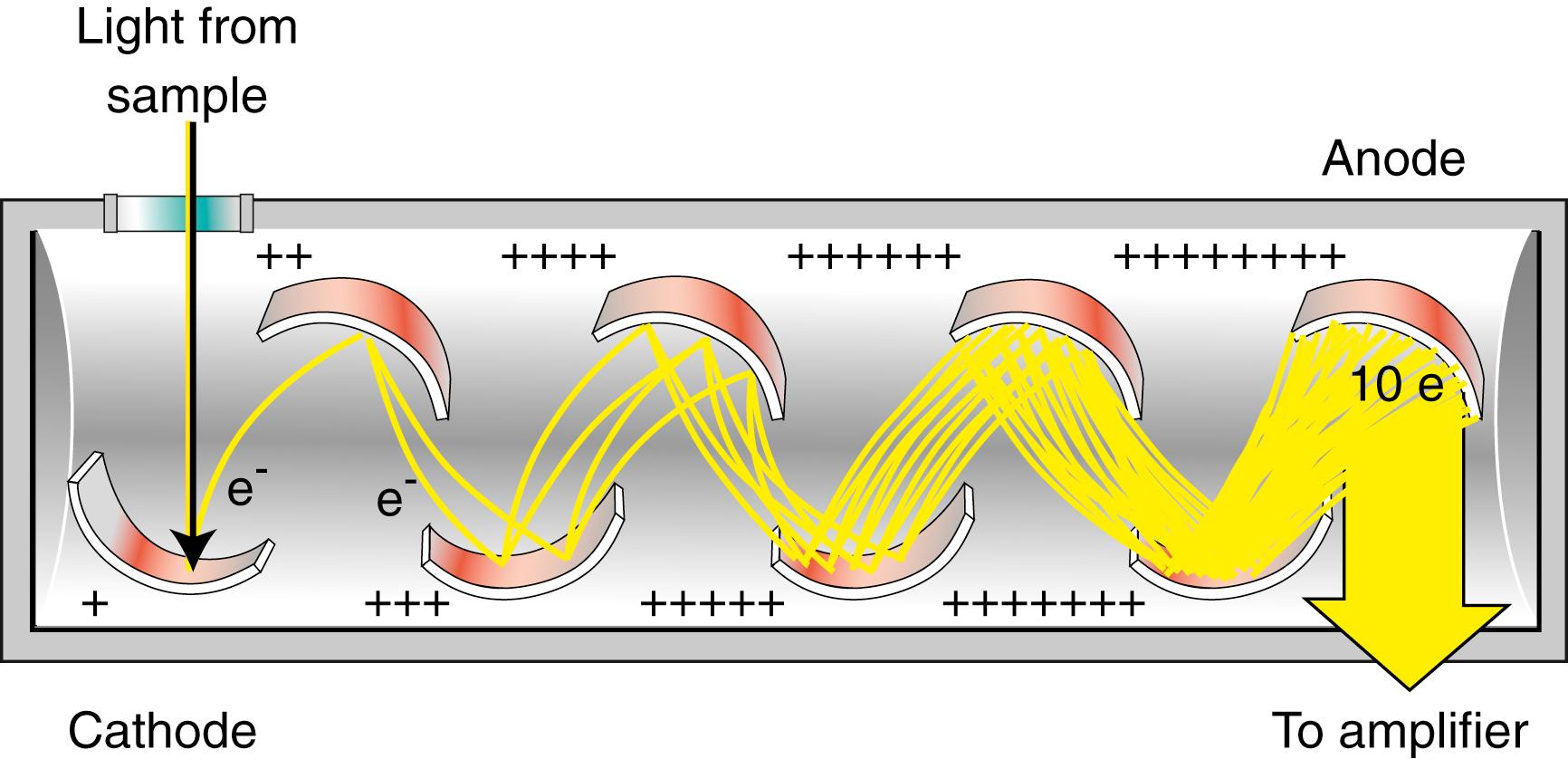 Figure 4.8, Schematic of a photomultiplier tube. In this diagram, a tenfold amplification of the initial signal is produced at the anode. (Redrawn from Simonson MG: In Kaplan LA, Pesce AJ, editors. Nonisotopic alternatives to radioimmunoassay. New York, 1981, Marcel Dekker.)