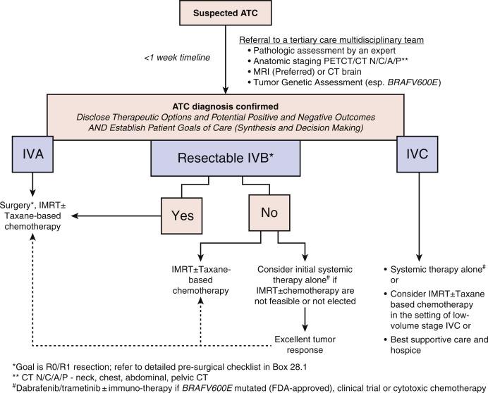 Fig. 28.2, Algorithm suggesting evaluation and management of suspected anaplastic thyroid cancer.