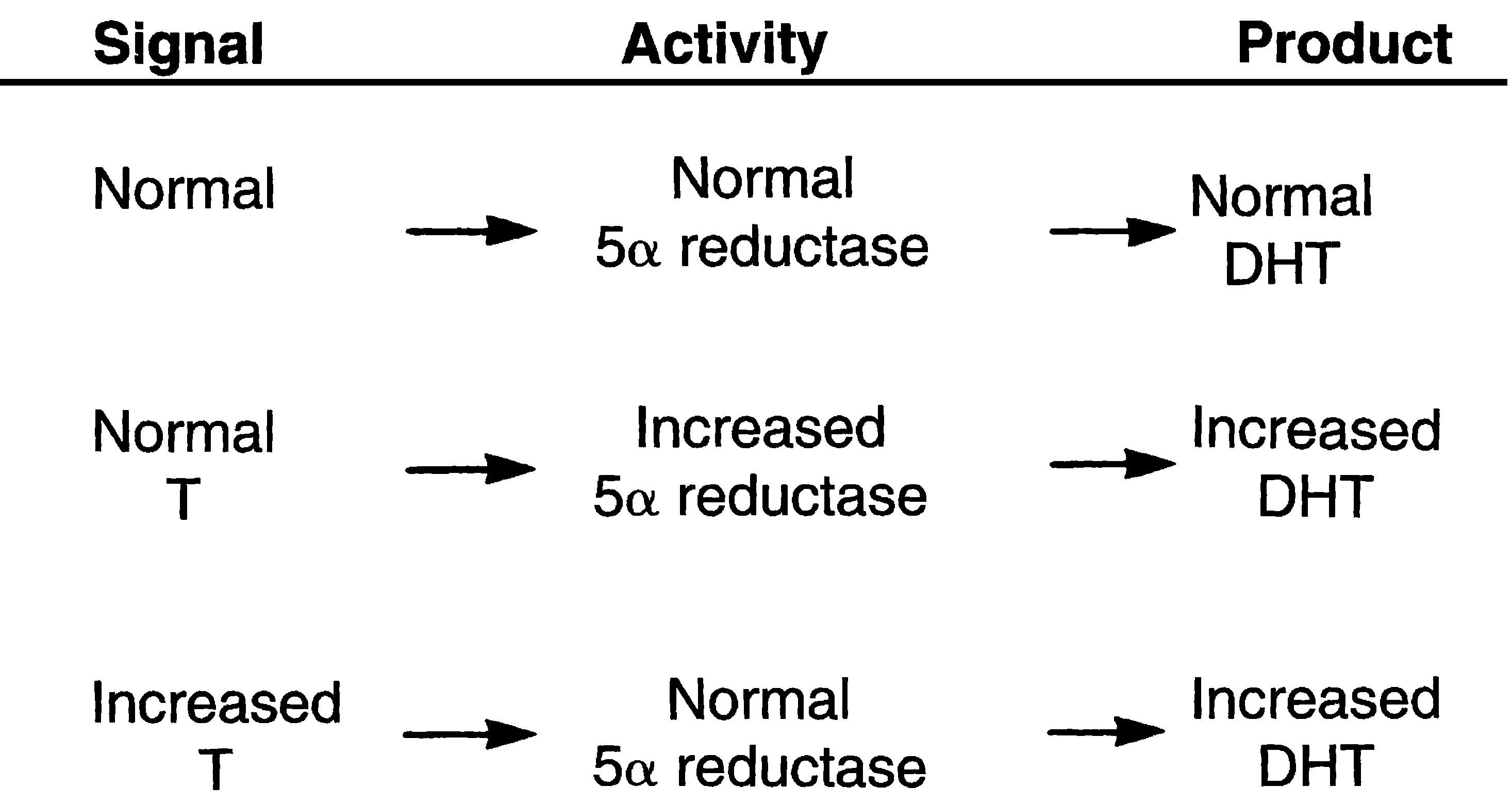 Fig. 38.5, Influence of androgen substrate (signal; e.g., testosterone or androstenedione) and 5α-reductase activity (in pilosebaceous units) on local production of biologically active androgens. T, Testosterone; DHT, dihydrotestosterone.