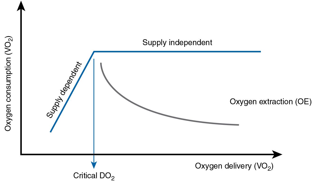 Fig. 8.4, Schematic representation of the relationship between systemic oxygen consumption (VO 2 ), delivery (DO 2 ), and extraction (OE). The critical or anaerobic threshold can be identified from a change in the gradient of the curve or as a result of accumulation of lactate.