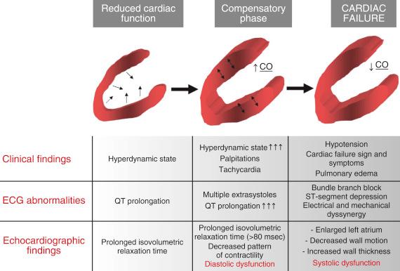 FIGURE 46-3, The progression of cirrhotic cardiomyopathy. CO , Cardiac output; ECG , electrocardiographic.