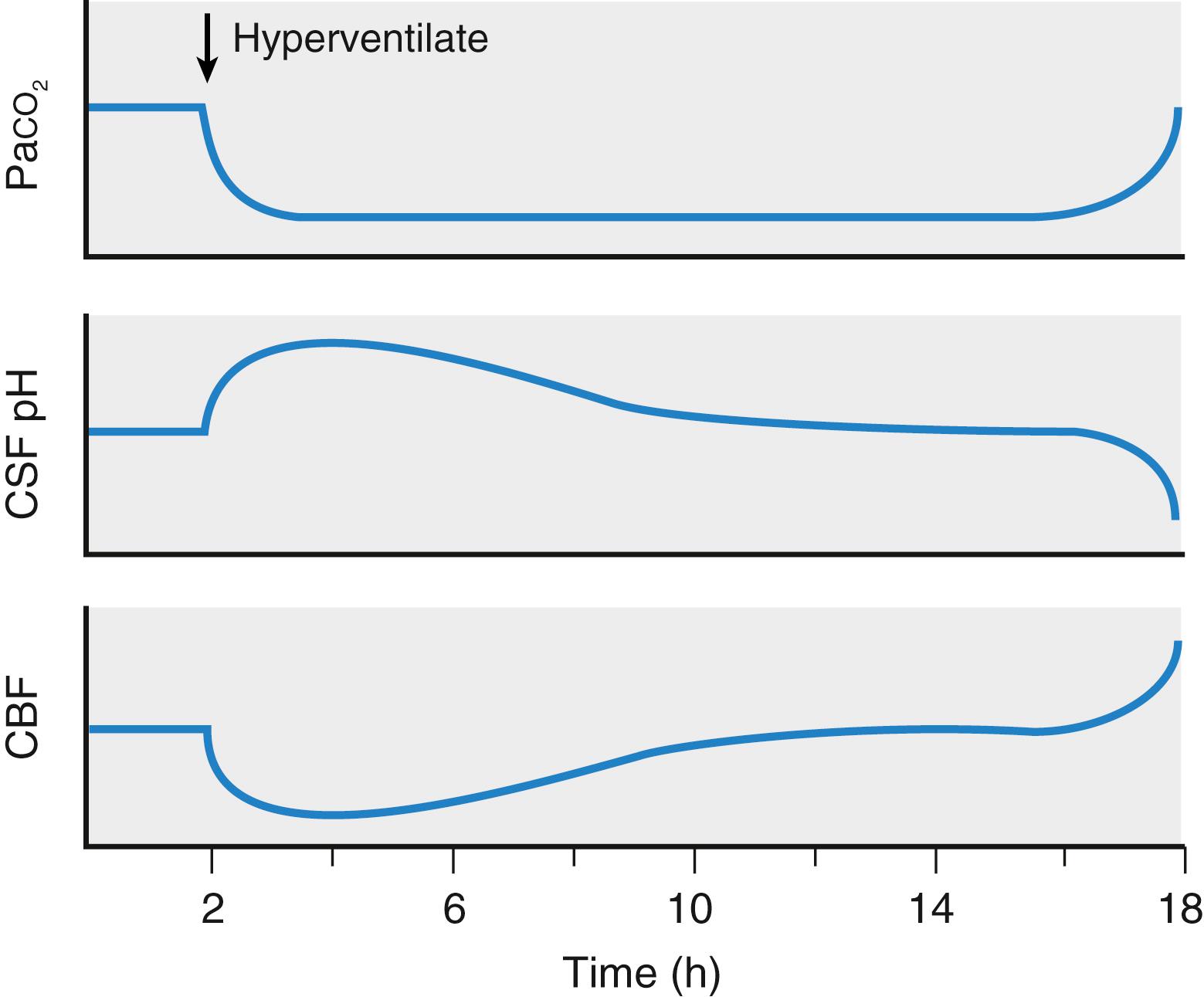 Fig. 57.6, Partial pressure of carbon dioxide in the arterial blood (Pa CO 2 ), cerebral blood flow (CBF) , and cerebrospinal fluid (CSF) pH changes with prolonged hyperventilation. Although the decreased arterial Pa CO 2 (and the systemic alkalosis) persists for the duration of the period of hyperventilation, the pH of the brain and CBF return toward normal over 8 to 12 hours.