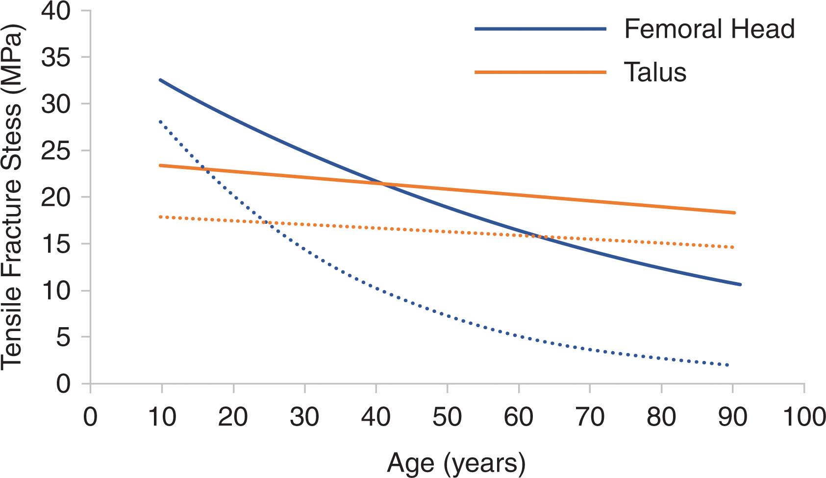 Fig. 22-3, Femoral head and talus articular cartilage tensile fracture stress versus age for superficial (solid) and middle (dashed) layers. Notice that the tensile fracture stress of ankle articular cartilage is greater beginning in middle age than the tensile fracture stress of femoral head articular cartilage and that the difference increases with increasing age.