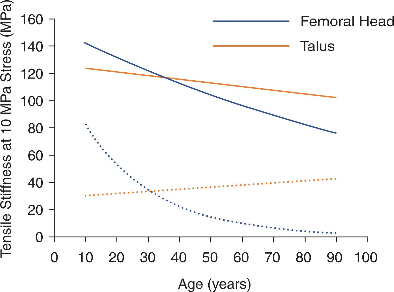 Fig. 22-4, Femoral head and talus articular cartilage tensile stiffness versus age for superficial (solid) and middle (dashed) layers measured at 10 megapascals (MPa) stress. Notice that the tensile stiffness of ankle articular cartilage is greater beginning in middle age than the tensile stiffness of femoral head articular cartilage and that the difference increases with increasing age.