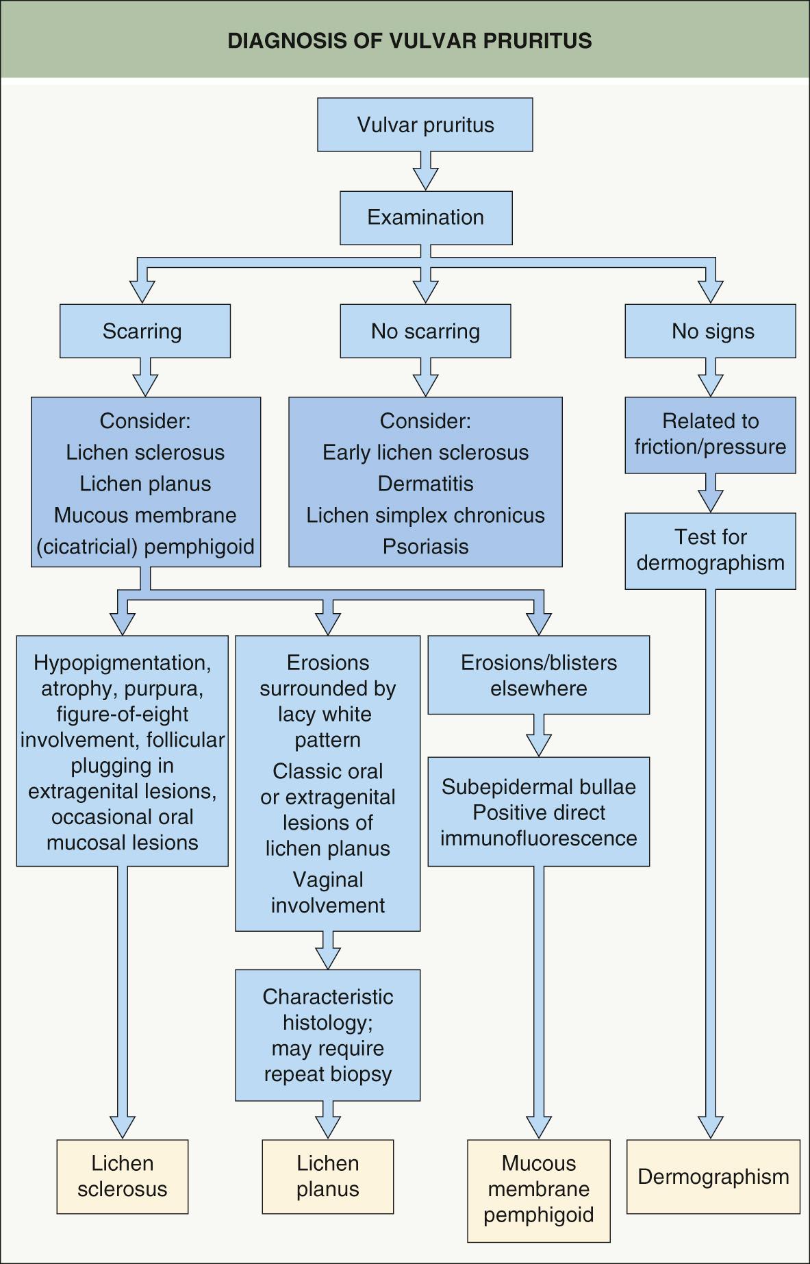 Fig. 73.9, Diagnosis of vulvar pruritus.