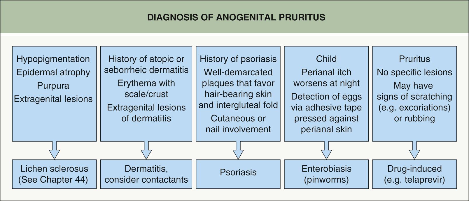 Fig. 73.10, Diagnosis of anogenital pruritus.
