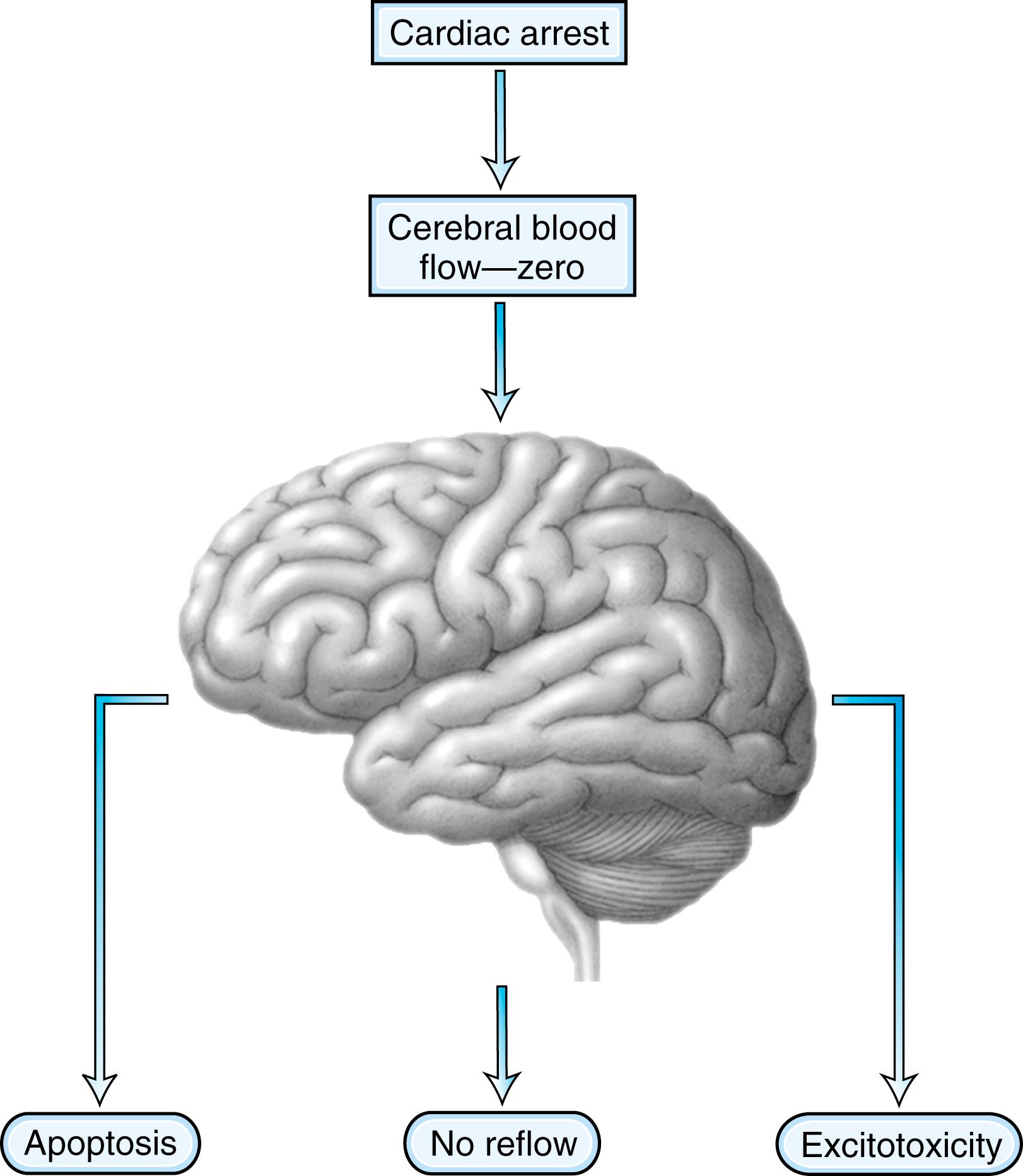 Fig. 83.1, Mechanisms of Brain Injury after Cardiac Arrest.