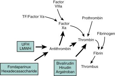 Fig. 11.1, Schematic representation of the relationship between coagulation and arterial thrombosis.