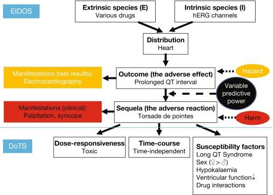 Figure 1, The EIDOS and DoTS descriptions of ventricular dysrhythmias (e.g. torsade de pointes) due to drugs that prolong the QT interval.